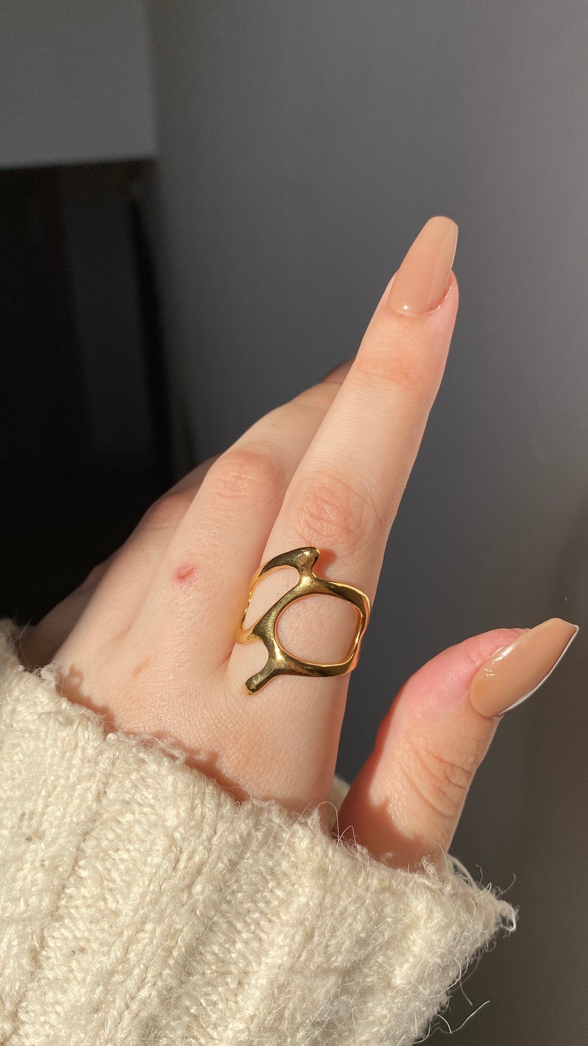 Hollow ring