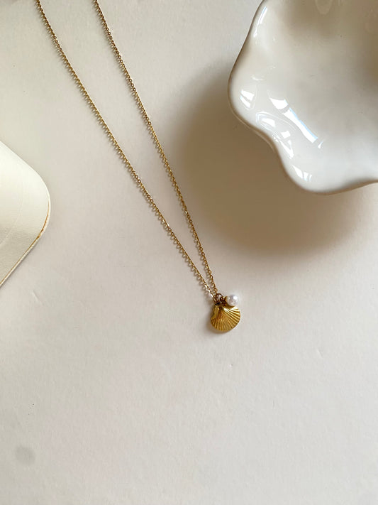 Seashell necklace