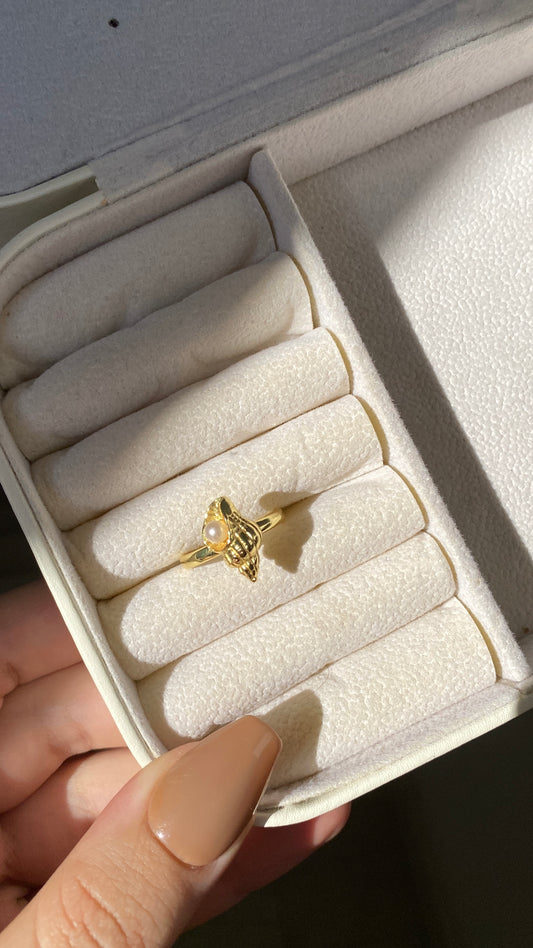 Sea shell ring