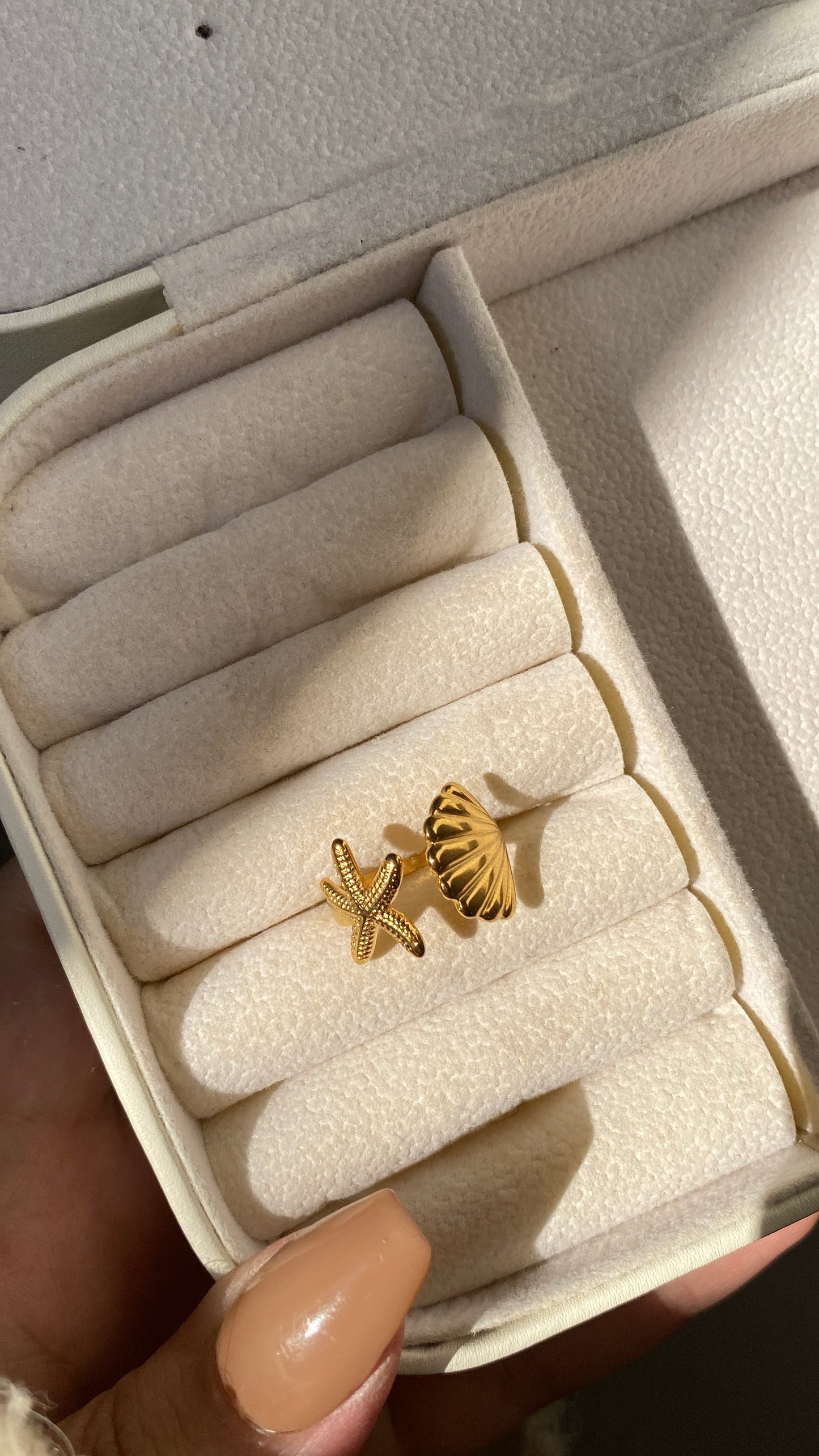 Sea shell ring